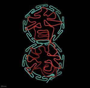 IRREGULart-霓虹燈冷光線藝術工作坊  中環 ｜ 尖沙咀 ｜ 馬灣1868 ｜ 赤柱 ｜ 石門